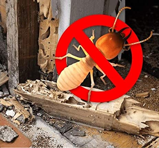 Termite Pest Control Escondido