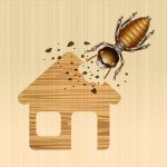 Termite Treatment Cost Escondido