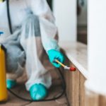 Termite Treatment Encinitas