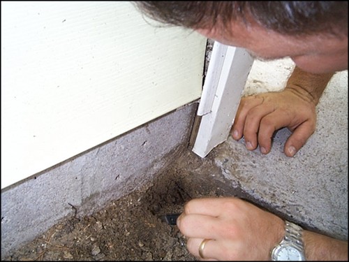 Termite Inspection Escondido
