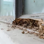 Termite Inspection Rancho Santa Fe