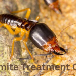 Termite Treatment Cost Solana Beach