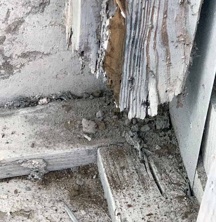 Termite Inspection La Jolla