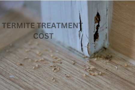 Termite Treatment Cost San Marcos