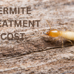 Termite Treatment Cost Vista