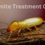 Termite Treatment Cost Pacific Beach