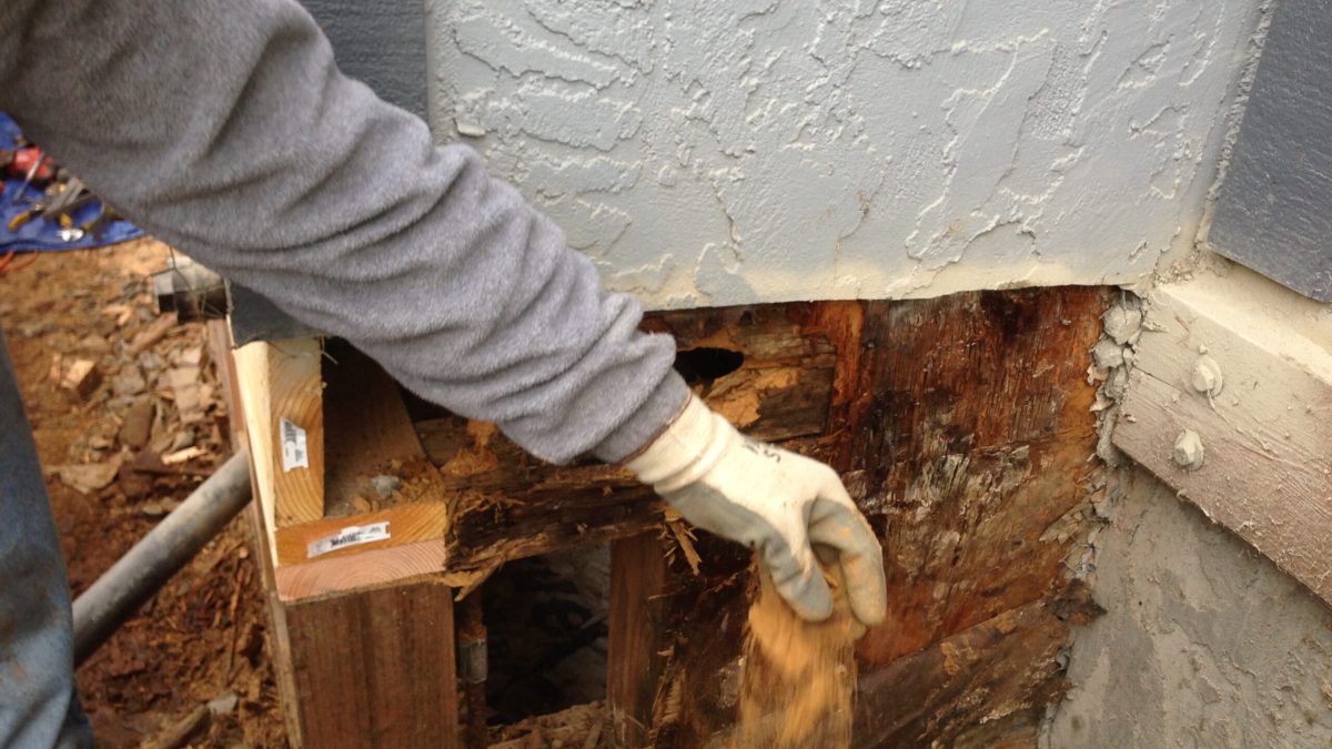 Termite Inspection Solana Beach