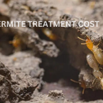 Termite Treatment Cost Del Mar