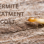 Termite Treatment Cost La Jolla