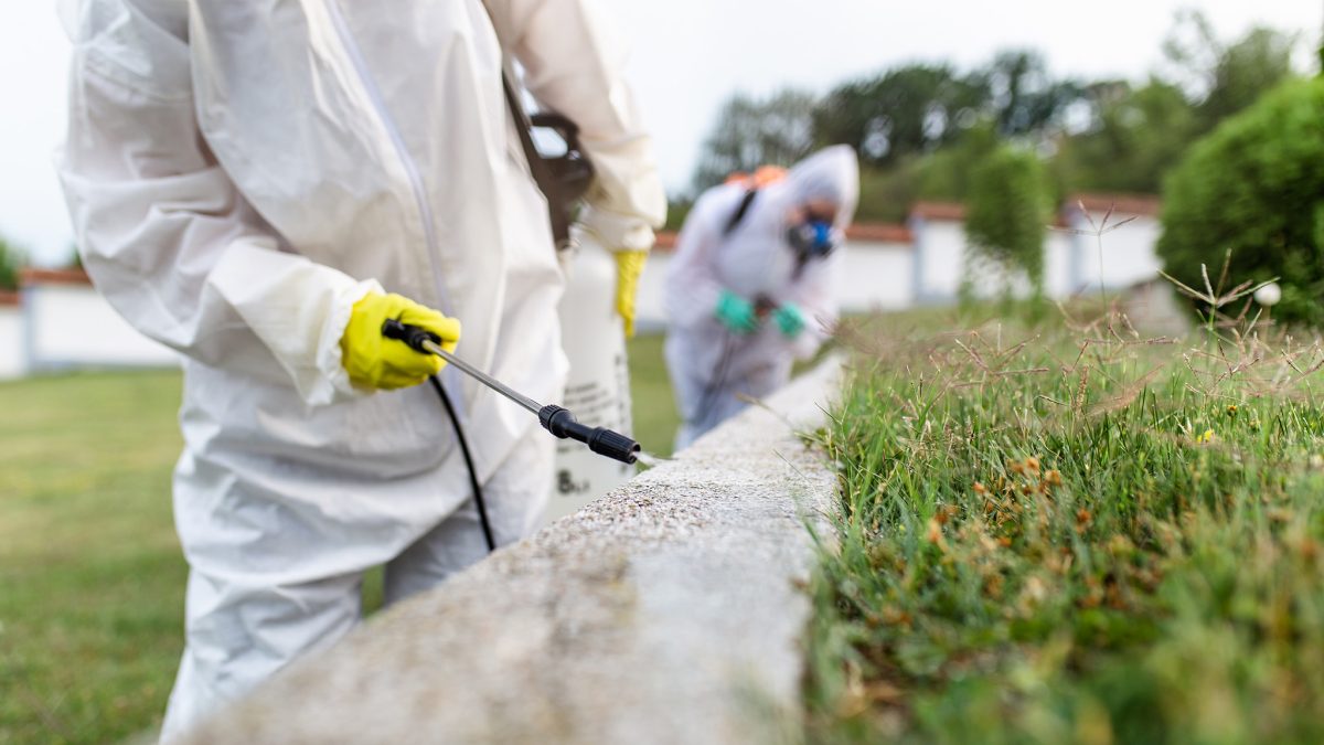 Termite Control Rancho Santa Fe