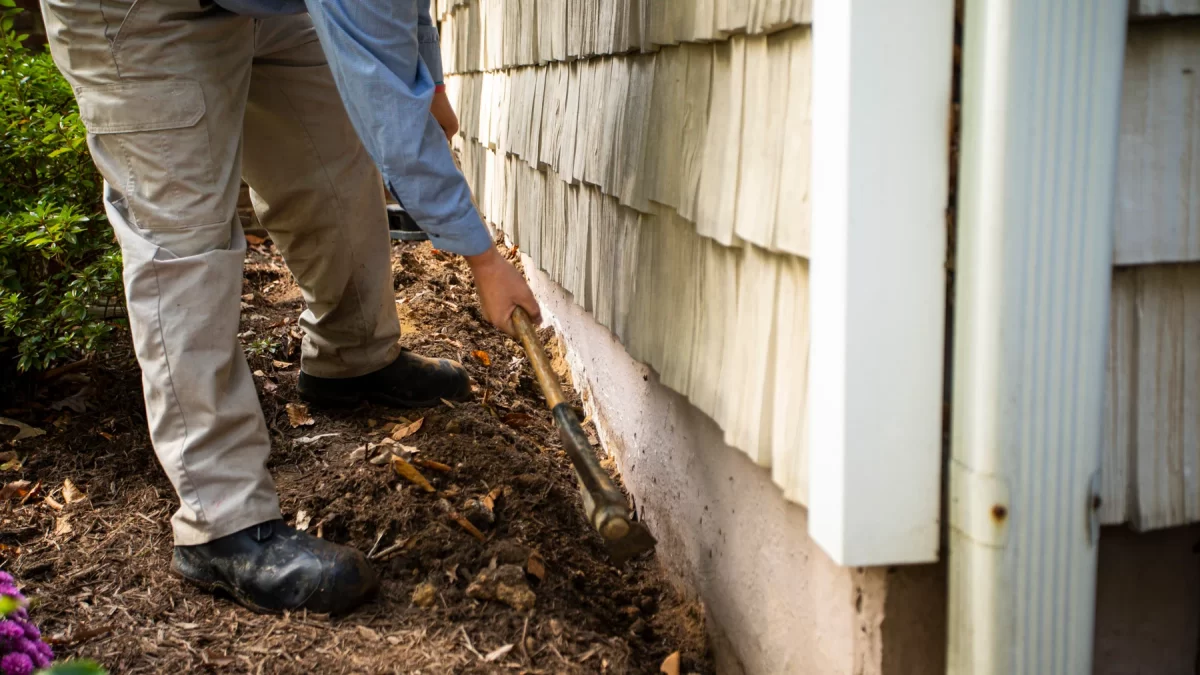 Termite Pest Control La Jolla