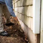 Termite Pest Control La Jolla