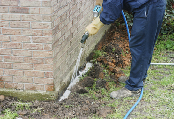 Termite Pest Control La Jolla