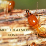 Termite Treatment Cost Poway