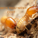 Termite Treatment Cost Solana Beach