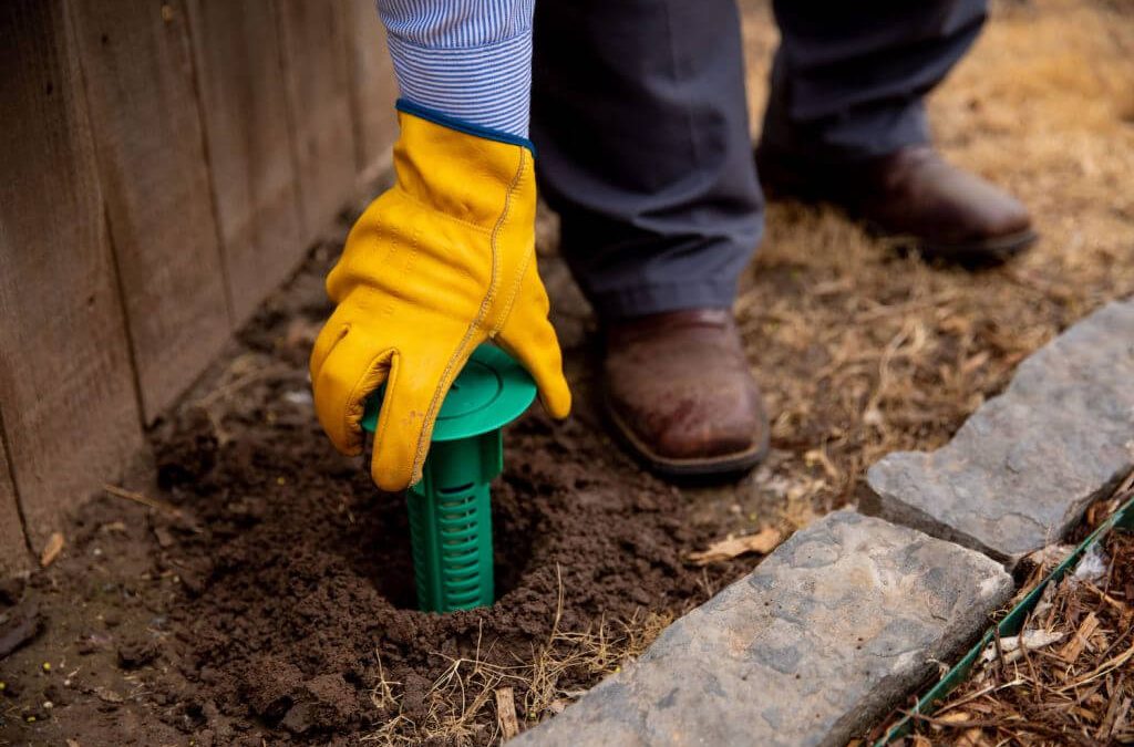 Termite Treatment Poway