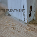 Termite Treatment Cost Escondido