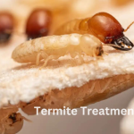 Termite Treatment Cost Mission Beach