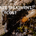 Termite Treatment Cost San Marcos