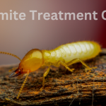 Termite Treatment Cost Vista