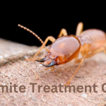 Termite Treatment Cost La Jolla