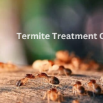 Termite Treatment Cost Oceanside