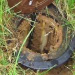 Termite Treatment Poway