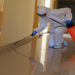 Termite Control Carlsbad