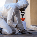 Termite Control Near Me Del Mar