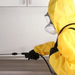 Termite Control Near Me San Marcos