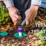 Termite Treatment Cost Poway
