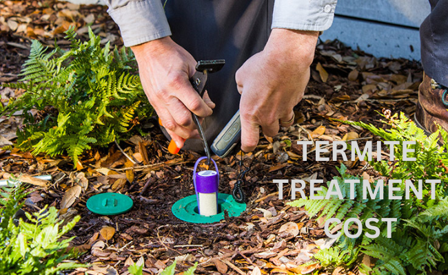 Termite Treatment Cost Poway