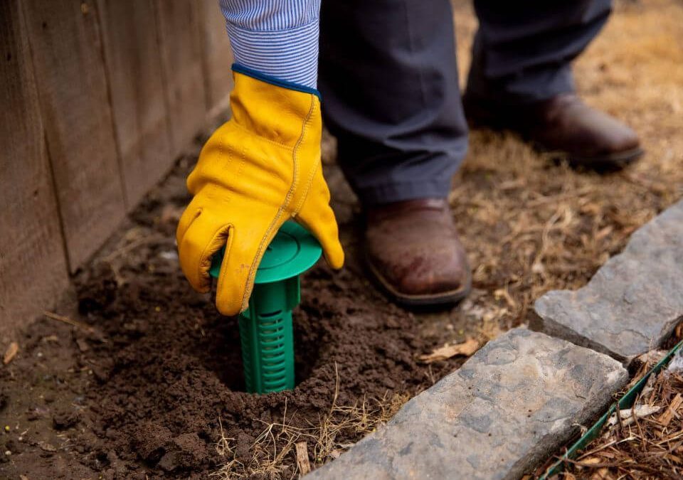 Termite Treatment Solana Beach