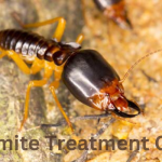 Termite Treatment Cost Escondido