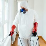 Termite Control Near Me Escondido