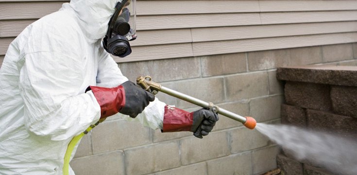 Termite Control Near Me La Jolla