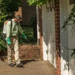 Termite Pest Control Rancho Santa Fe