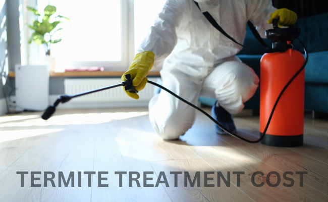 Termite Treatment Cost Oceanside