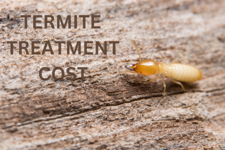 Termite Treatment Cost Mission Beach