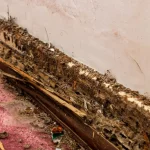 Termite Inspection Oceanside