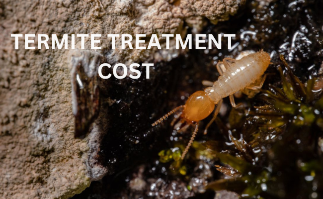 Termite Treatment Cost Solana Beach