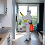 Termite Control Carlsbad