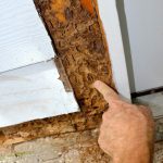 Termite Inspection Escondido