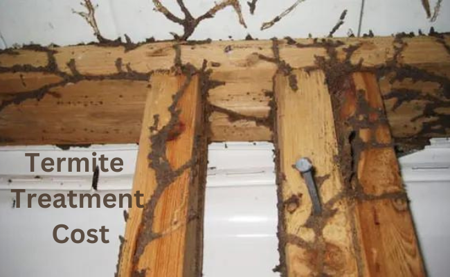 Termite Treatment Cost San Marcos