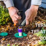 Termite Treatment Cost Escondido