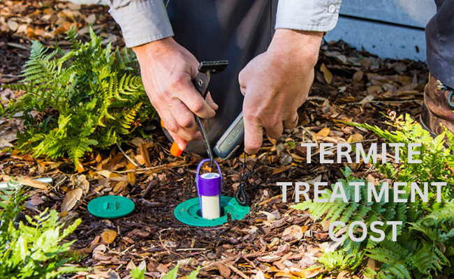 Termite Treatment Cost Escondido