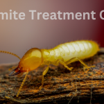 Termite Treatment Cost Escondido