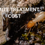 Termite Treatment Cost Carlsbad