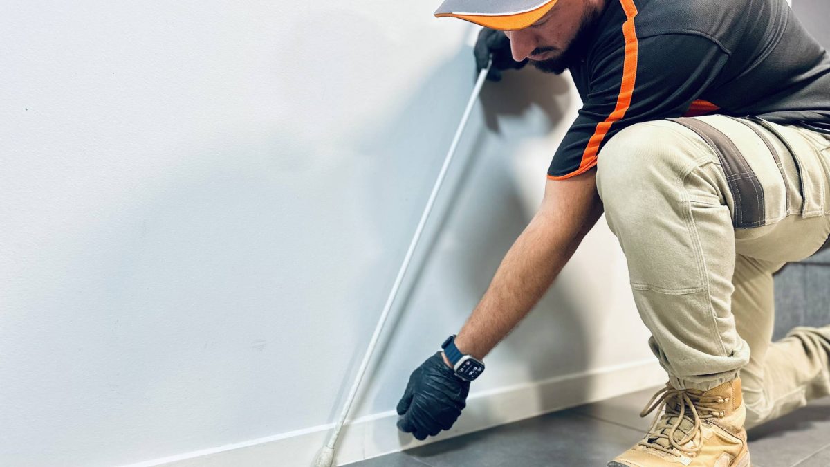 Termite Control Poway