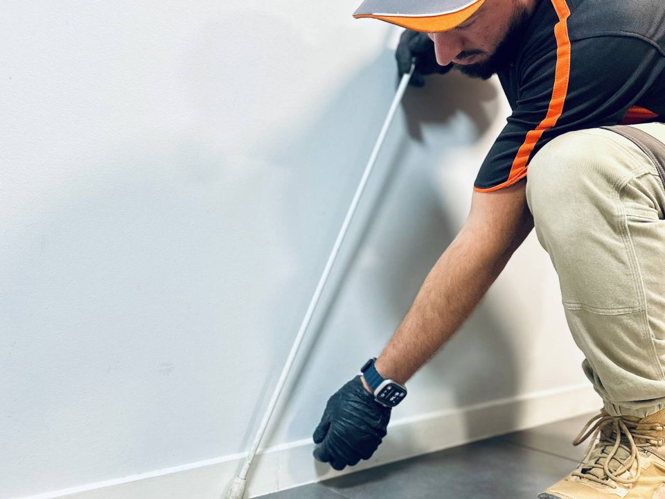 Termite Control Poway